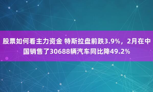 股票如何看主力资金 特斯拉盘前跌3.9%，2月在中国销售了30688辆汽车同比降49.2%
