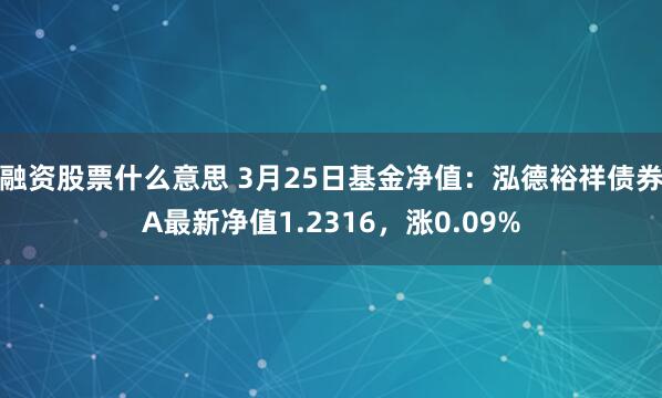 融资股票什么意思 3月25日基金净值：泓德裕祥债券A最新净值1.2316，涨0.09%