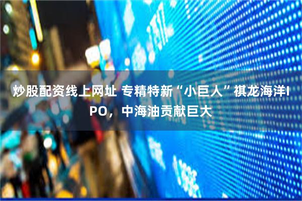 炒股配资线上网址 专精特新“小巨人”祺龙海洋IPO，中海油贡献巨大