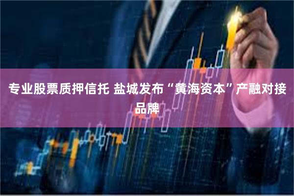 专业股票质押信托 盐城发布“黄海资本”产融对接品牌