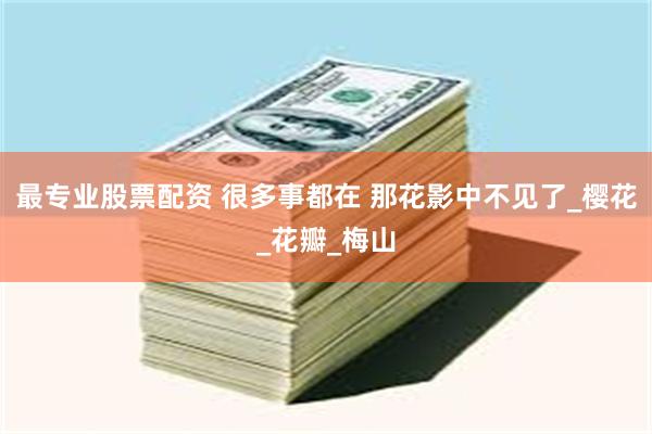 最专业股票配资 很多事都在 那花影中不见了_樱花_花瓣_梅山