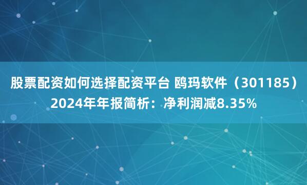 股票配资如何选择配资平台 鸥玛软件（301185）2024年年报简析：净利润减8.35%