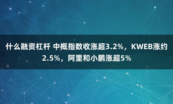 什么融资杠杆 中概指数收涨超3.2%，KWEB涨约2.5%，阿里和小鹏涨超5%