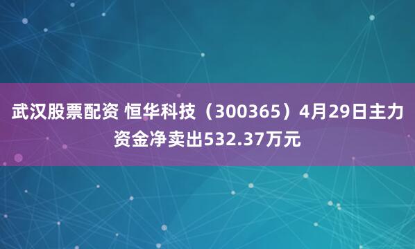 武汉股票配资 恒华科技（300365）4月29日主力资金净卖出532.37万元