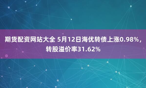 期货配资网站大全 5月12日海优转债上涨0.98%，转股溢价率31.62%