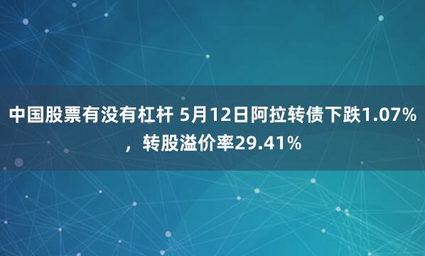 中国股票有没有杠杆 5月12日阿拉转债下跌1.07%，转股溢价率29.41%