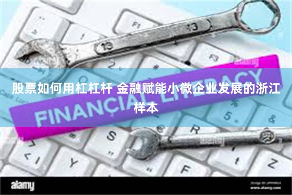 股票如何用杠杠杆 金融赋能小微企业发展的浙江样本
