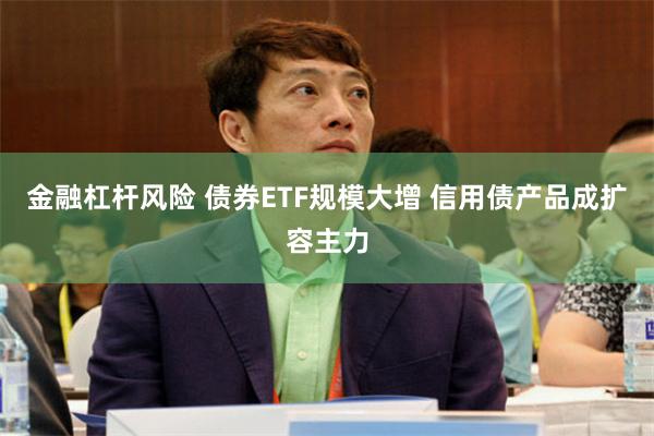 金融杠杆风险 债券ETF规模大增 信用债产品成扩容主力