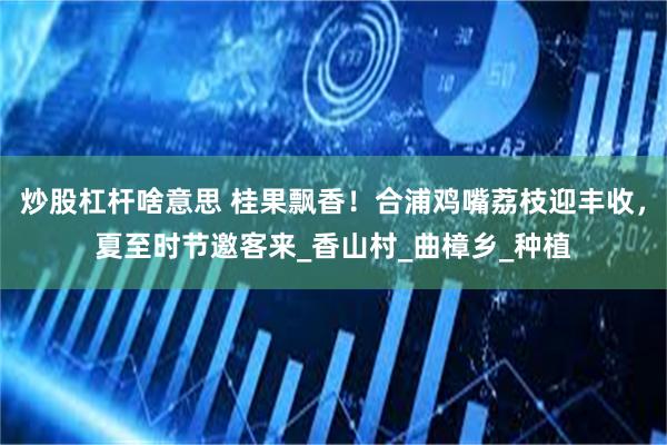 炒股杠杆啥意思 桂果飘香！合浦鸡嘴荔枝迎丰收，夏至时节邀客来_香山村_曲樟乡_种植