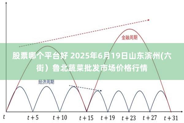 股票哪个平台好 2025年6月19日山东滨州(六街)鲁北蔬菜批发市场价格行情