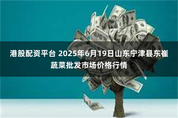 港股配资平台 2025年6月19日山东宁津县东崔蔬菜批发市场价格行情