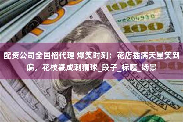 配资公司全国招代理 爆笑时刻：花店插满天星笑到偏，花枝戳成刺猬球_段子_标题_场景