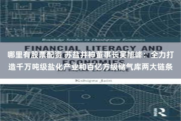 哪里有股票配资 苏盐井神董事长吴旭峰：全力打造千万吨级盐化产业和百亿方级储气库两大链条