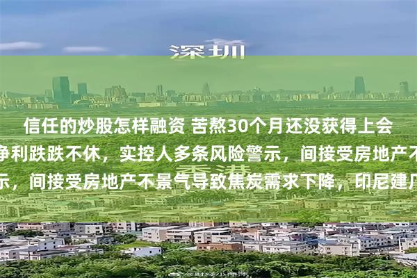 信任的炒股怎样融资 苦熬30个月还没获得上会机会的阳光焦化：毛利净利跌跌不休，实控人多条风险警示，间接受房地产不景气导致焦炭需求下降，印尼建厂风险高