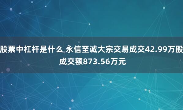 股票中杠杆是什么 永信至诚大宗交易成交42.99万股 成交额873.56万元