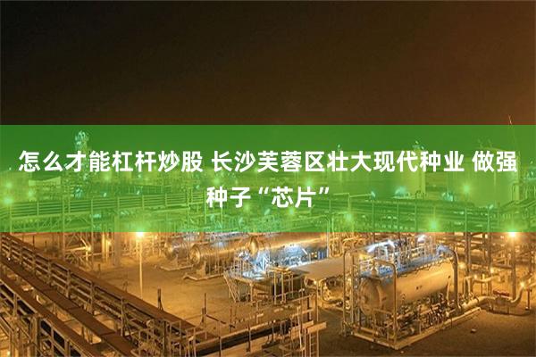怎么才能杠杆炒股 长沙芙蓉区壮大现代种业 做强种子“芯片”