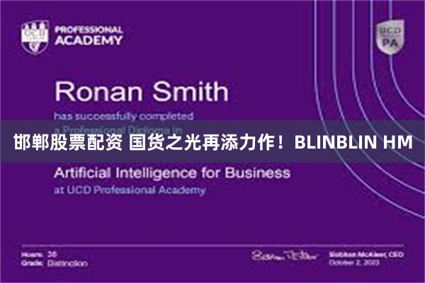 邯郸股票配资 国货之光再添力作！BLINBLIN HM