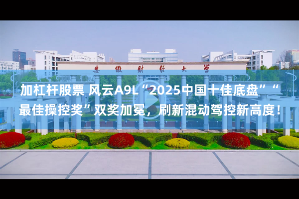 加杠杆股票 风云A9L“2025中国十佳底盘”“最佳操控奖”双奖加冕,刷新混动驾控新高度!